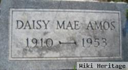 Daisy Mae Logston Amos