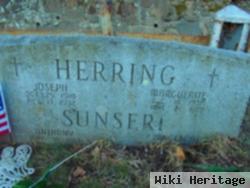 Joseph Herring