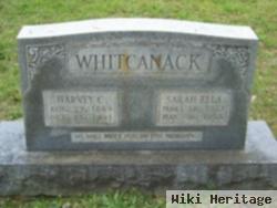 Sara Ella Whitcanack