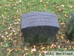 Herbert Hammann