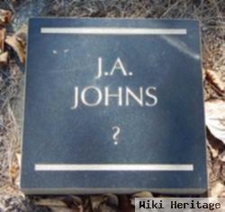 J A Johns