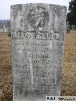 Mary Ellen Ellicks