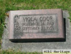 Viola Wolf Odor