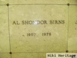 Alexander Shondor "szandor Birnstein" Birns