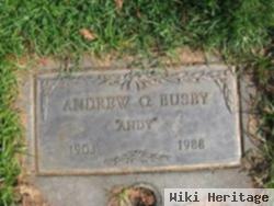 Andrew G. Busby