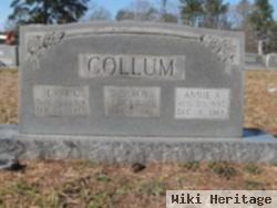 Annie Virginia Alfred Collum