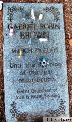 Gabriel Robin Brown