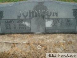 Mary Ann Johnson