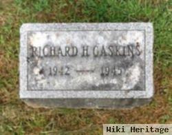 Richard H. Gaskins