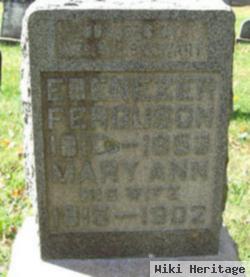 Mary Ann Robinson Ferguson