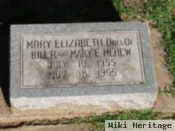 Mary Elizabeth Mehew