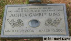 Joshua Gamble Mims