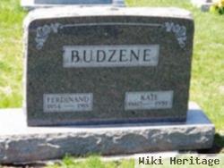 Ferdinand Budzene