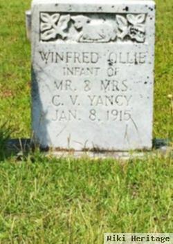 Winfred Ollie Yancy