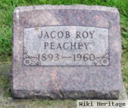 Jacob Roy Peachey