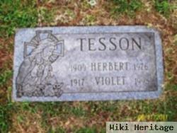Herbert J Tesson