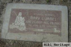 Mary Louise Haines James