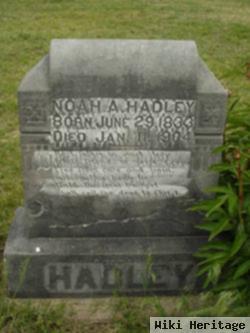 Noah A Hadley