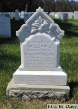 William J Collins