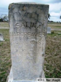 Salina Davis Hargreaves