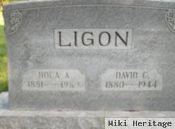 David C. Ligon