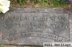 Karla Christene Benesh