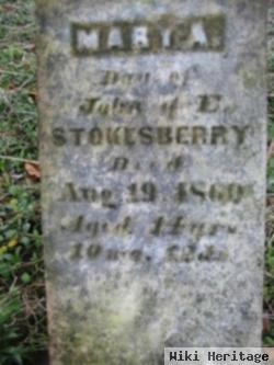 Mary Ann Stokesberry