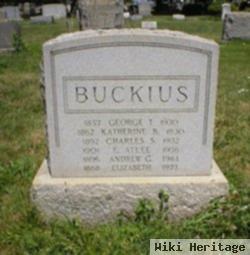 Andrew Gurnsey Buckius