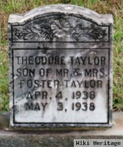 Theodore Taylor