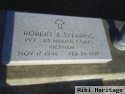 Robert E Stebbins