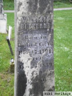 William Buckland