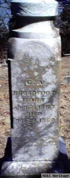 Edward A Broadfoot