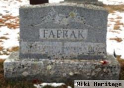Andrew A Fafrak