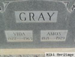 Ivy Amos Gray