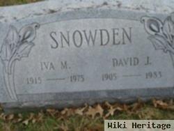 David J Snowden