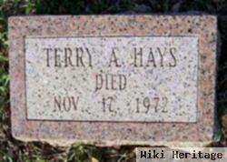 Terry Albert Hays, Jr