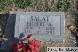 Hilbert A Salat