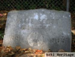 Allie Scott Hallett