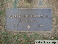 Aubrey Joe Burgess, Jr