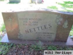 David Winston Nettles