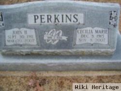 Cecilia Marie Gleason Perkins