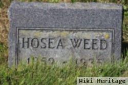 Albert Hosea Weed