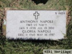 Anthony Napoli