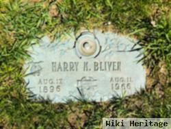 Harry Mckinley Bliven