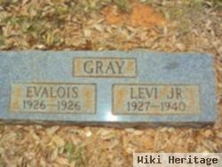 Levi Gray, Jr