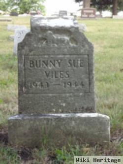 Bunny Sue Viles