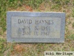 David Glenn Haynes