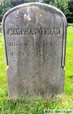 Mary J Cheever Putnam