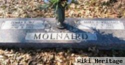 Mary A Williams Molnaird