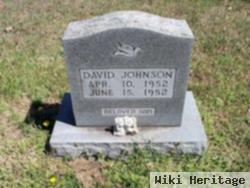 David Johnson